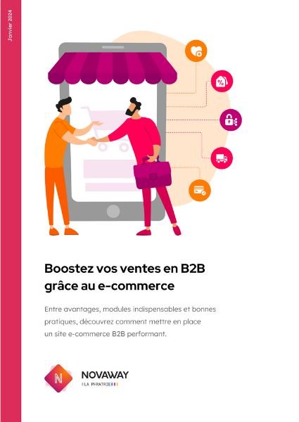 E-commerce B2B : Les Modules Indispensables Pour Votre Clientèle ...